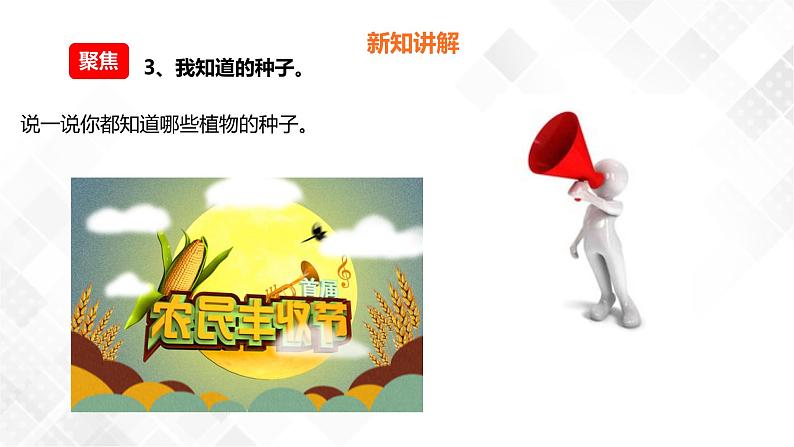 1.1种子里孕育着新生命  科教版四年级下册科学  课件+教案+练习07