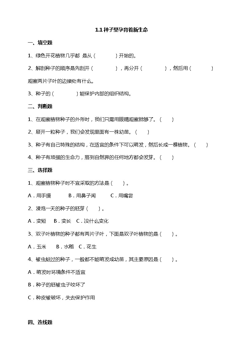 1.1种子里孕育着新生命  科教版四年级下册科学  课件+教案+练习01
