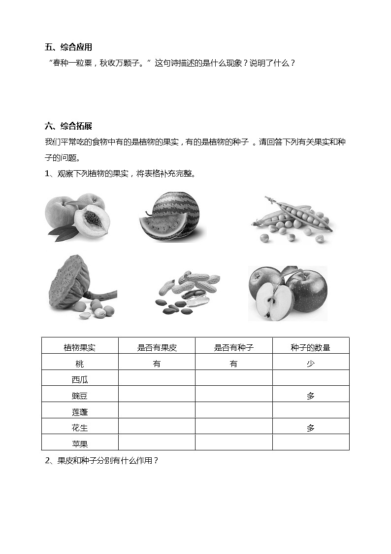 1.6果实和种子 试题（含答案解析）第2页