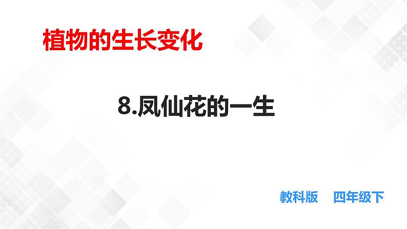 1.8凤仙花的一生  科教版四年级下册科学 课件+教案+练习01