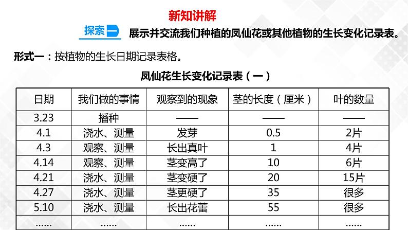 1.8凤仙花的一生  科教版四年级下册科学 课件+教案+练习04