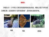 2.1电和我们的生活  科教版四年级下册科学 课件+教案+练习
