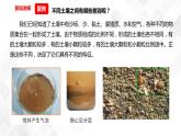 3.7比较不同的土壤  科教版四年级下册科学  课件+教案+练习
