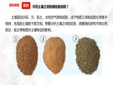 3.7比较不同的土壤  科教版四年级下册科学  课件+教案+练习