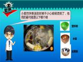 小学科学教科版五年级下册第四单元第6课《哪个传热快》课件（2022新版）2