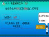 小学科学教科版五年级下册第一单元第4课《蚯蚓的选择》课件（2022新版）2