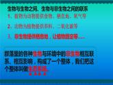 小学科学教科版五年级下册第一单元第7课《设计和制作生态瓶》课件（2022新版）2