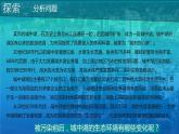 小学科学教科版五年级下册第三单元第7课《分析一个实际的环境问题》课件（2022新版）2