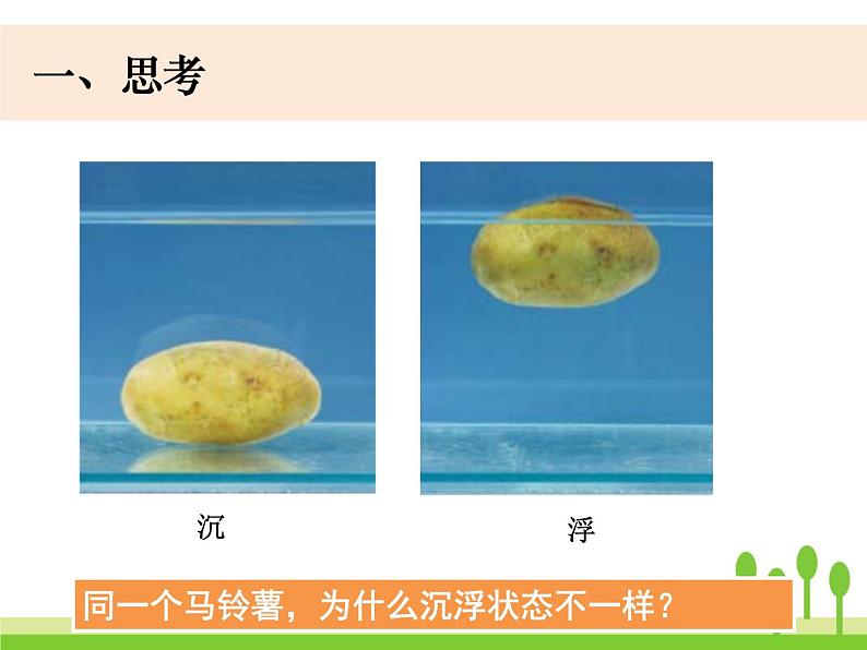 五下1-7《马铃薯在液体中的沉浮》PPT第2页