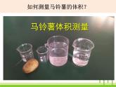 2022春教科版科学五年级下册1-8《探索马铃薯沉浮的原因》课件+教案