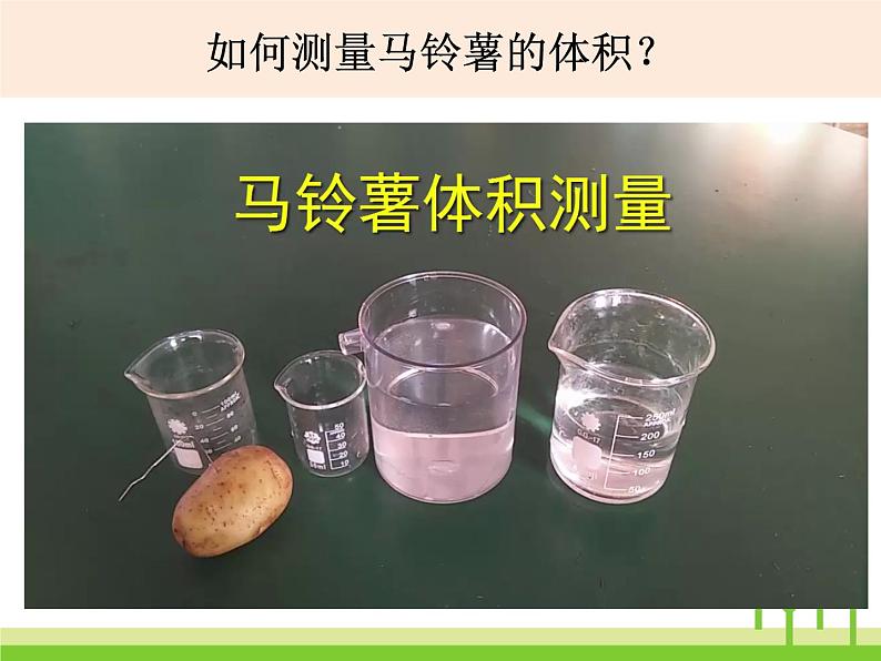 五下1-8《探索马铃薯沉浮的原因》PPT第3页