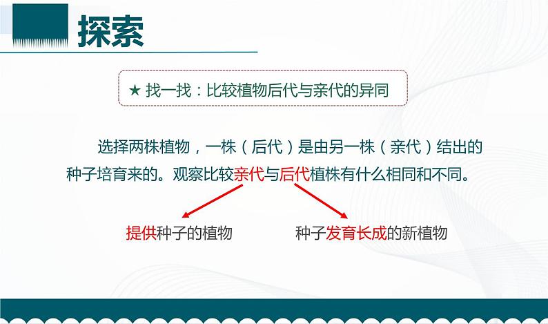 2.3. 形形色色的植物  课件第8页