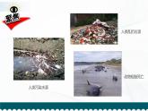 2.7《保護(hù)生物多樣性》課件+教案