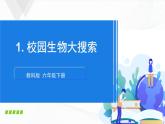 2.1《校園生物大搜索》課件+教案+記錄單