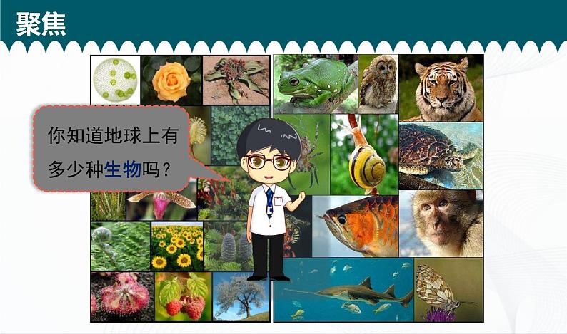 2.1《校园生物大搜索》课件+教案+记录单02