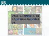 2.1《校園生物大搜索》課件+教案+記錄單
