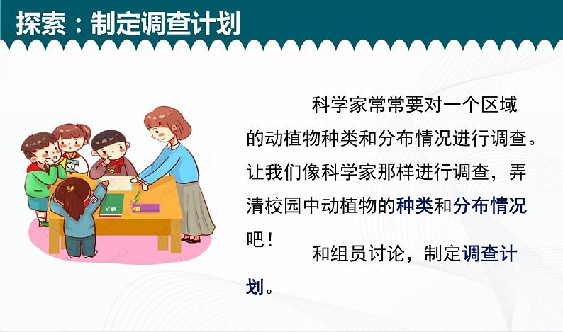 2.1《校园生物大搜索》课件+教案+记录单08