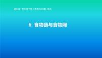 小学科学教科版 (2017)五年级下册6.食物链和食物网评课课件ppt