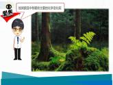 4.5《地球家園的化學(xué)變化》課件+教案+記錄單