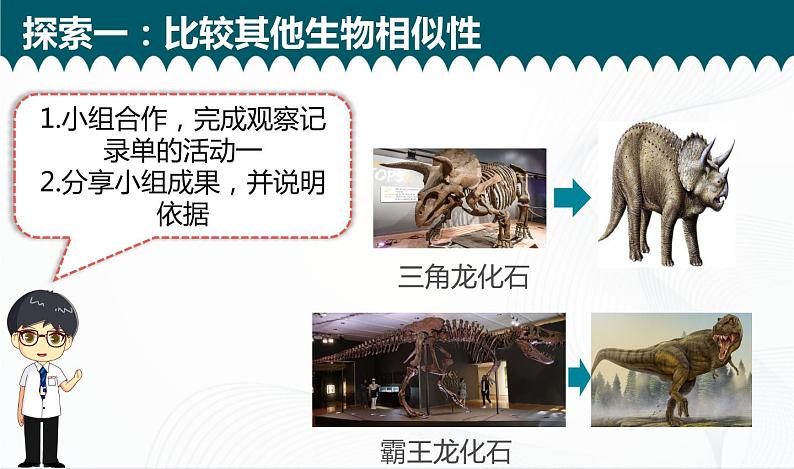 2.6《古代生物的多样性》课件+教案+记录单06