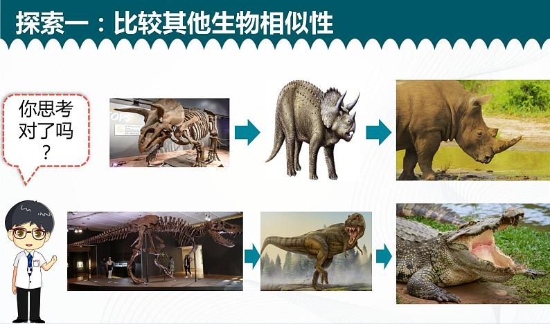 2.6《古代生物的多样性》课件+教案+记录单07