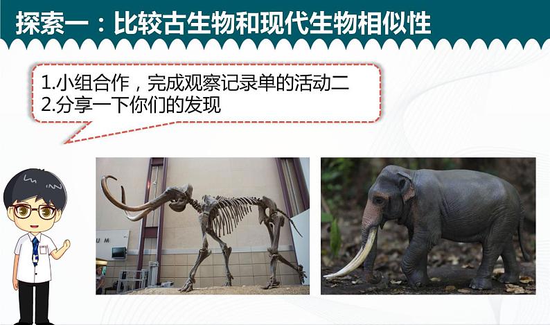 2.6《古代生物的多样性》课件+教案+记录单08