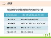 2022春教科版科学五年级下册3-6《摆的研究》课件+教案