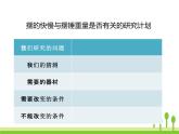 2022春教科版科学五年级下册3-6《摆的研究》课件+教案