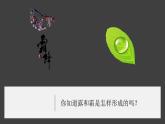 2.1《露和霜》視頻引導ppt+視頻資料