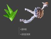 2.1《露和霜》視頻引導ppt+視頻資料