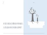 2.1《露和霜》視頻引導ppt+視頻資料