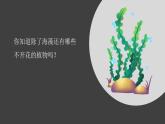 4.1《种类繁多的植物》视频引导ppt+视频资料