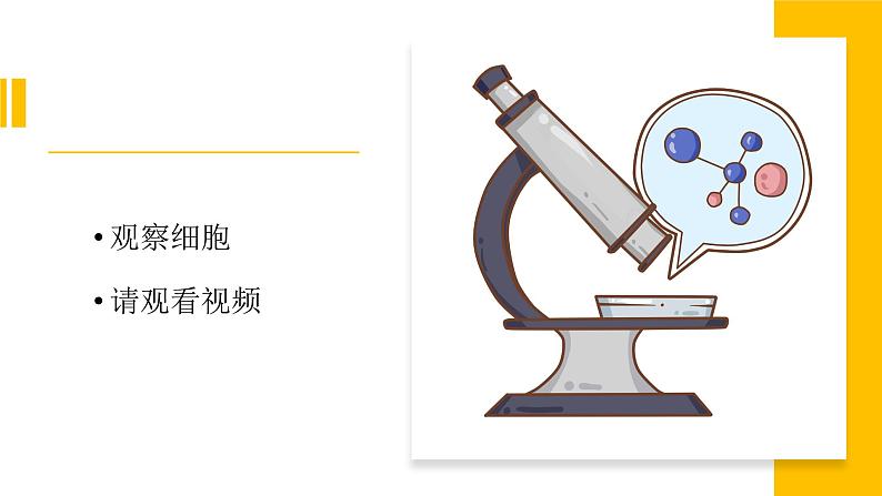 4.2《观察细胞》视频引导ppt+视频资料03
