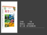 4.3《看不见的微生物》视频引导ppt+视频资料