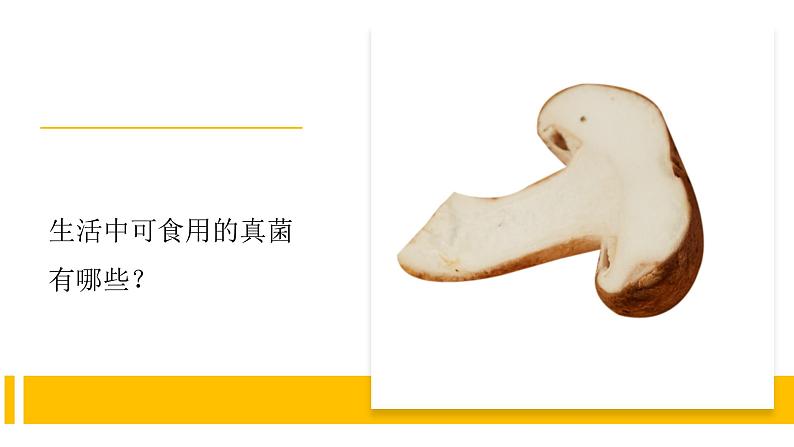 4.4《看得见的微生物》视频引导ppt+视频资料02