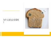 4.5《發(fā)霉和防霉》視頻引導(dǎo)ppt+視頻資料