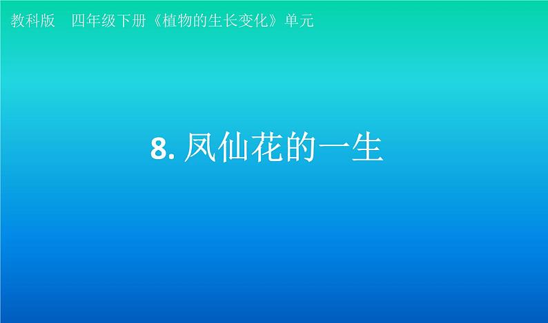 小学科学教科版四年级下册第一单元第8课《凤仙花的一生》课件3（2021新版）第1页