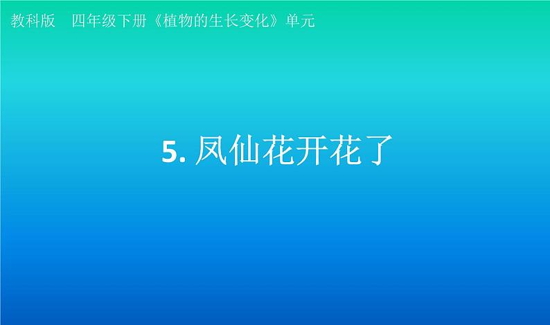 小学科学教科版四年级下册第一单元第5课《凤仙花开花了》课件3（2021新版）01