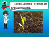 小学科学教科版四年级下册第三单元第6课《观察土壤》课件3（2021新版）