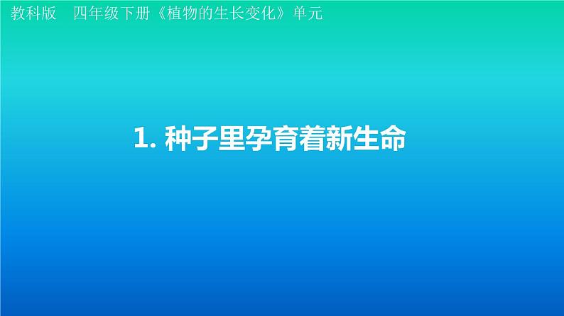 小学科学教科版四年级下册第一单元第1课《 种子里孕育着新生命》课件3（2021新版）01