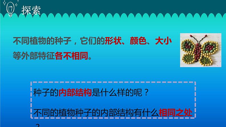 小学科学教科版四年级下册第一单元第1课《 种子里孕育着新生命》课件3（2021新版）08