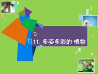 小学苏教版 (2017)11.多姿多彩的植物图文ppt课件