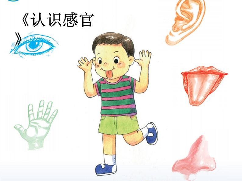 4.11多姿多彩的植物第2页