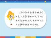 蘇教版（2017）六下科學(xué)2.6《有趣的食物鏈》授課課件