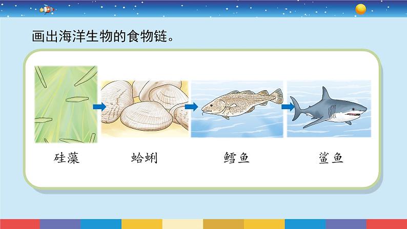 苏教版（2017）六下科学2.6《有趣的食物链》授课课件第5页