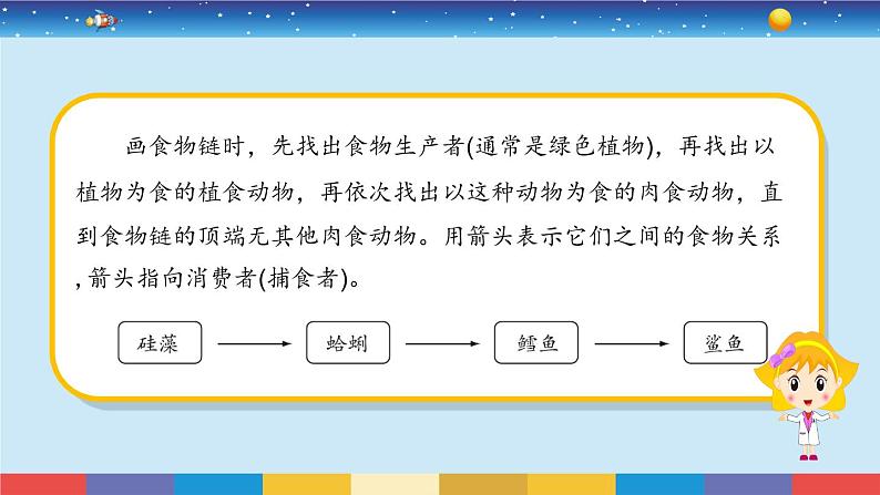 苏教版（2017）六下科学2.6《有趣的食物链》授课课件第6页