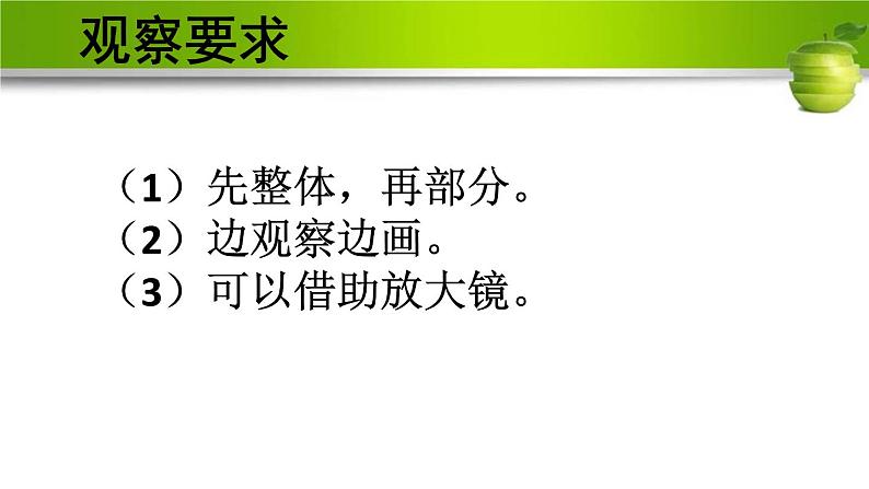 人教鄂教版科学二年级下册8.《蜗牛》 课件+教案03