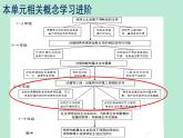 教科版五年级下册《生物与环境》单元教材解读 课件