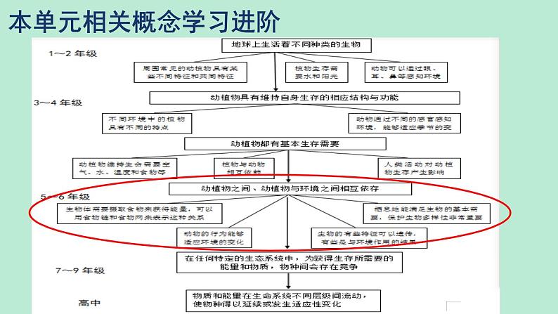 教科版五年级下册《生物与环境》单元教材解读 课件05