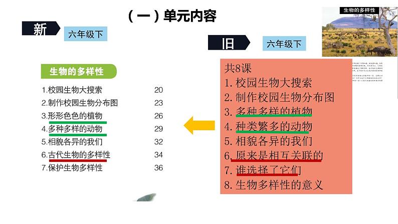 教科版（2017秋）六年级下册第二单元《生物的多样性》单元教材解读（ 课件106张PPT）06